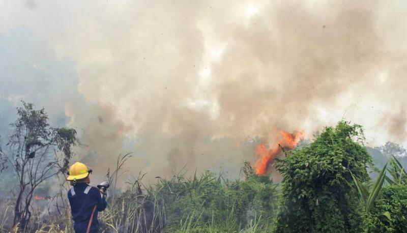 Kabut Asap dari Riau Ancam Malaysia, Singapura, dan Thailand