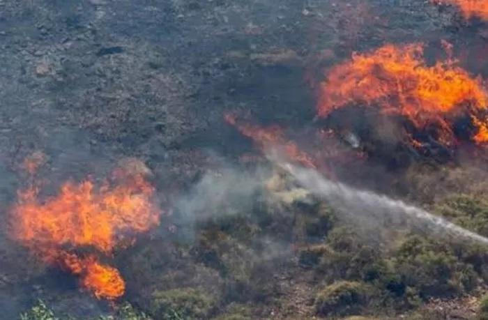 Titik Panas di Riau Masih Terbanyak di Sumatera, BMKG Proyeksi Hujan