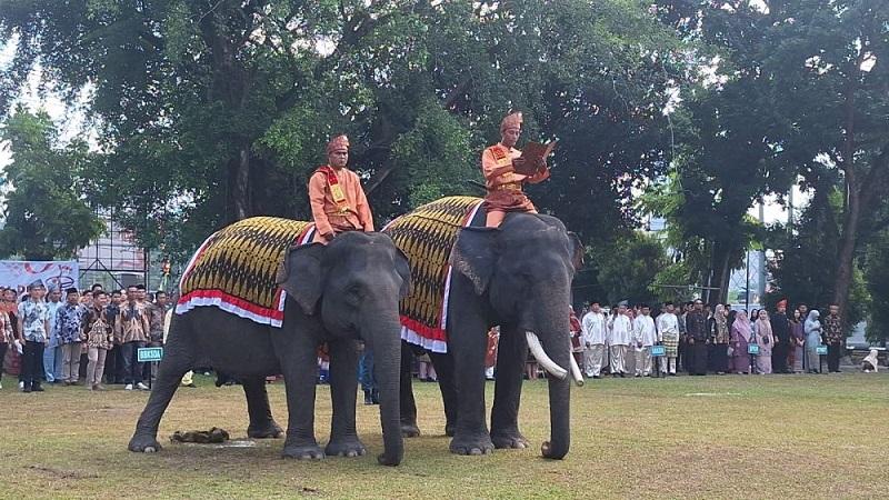 Gajah Diajak BBKSDA Riau dan BPBD di Lokasi Karhutla, Upacara HUT RI Kembali ke Alam