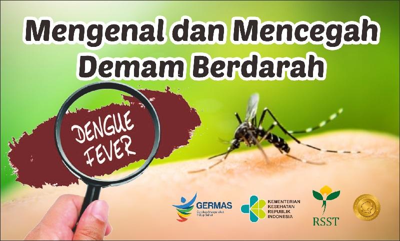 Waspada Kasus DBD di Pekanbaru, Meningkat Tajam Diskes Catat 675 Orang Terpapar