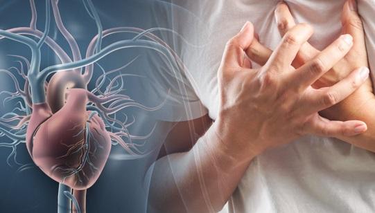 Jadi Ancaman Serius, Pemprov Riau Perkuat Pencegahan Penyakit Jantung