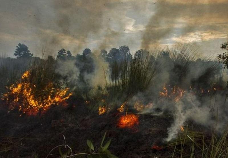 Asap Ratusan Hektar Lahan Terbakar di Dumai Mulai Menyebar, Warga Diminta Waspada Kesehatan