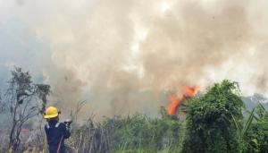 Kabut Asap dari Riau Ancam Malaysia, Singapura, dan Thailand