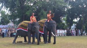 Gajah Diajak BBKSDA Riau dan BPBD di Lokasi Karhutla, Upacara HUT RI Kembali ke Alam