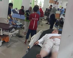 Digigit Anjing Liar, 9 Warga Tenayan Raya Pekanbaru Dilarikan IGD Rumah Sakit