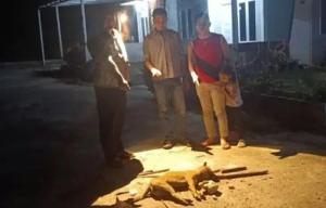 Sempat Dirawat Intensif di RSUD Arifin Achmad, 9 Korban Gigitan Anjing Rabies Sudah Sehat
