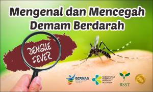Waspada Kasus DBD di Pekanbaru, Meningkat Tajam Diskes Catat 675 Orang Terpapar