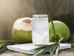 Dokter Anak Indonesia Tegaskan Belum Ada Bukti Ilmiah, Air Kelapa Kerap Dianggap Obat Cacar